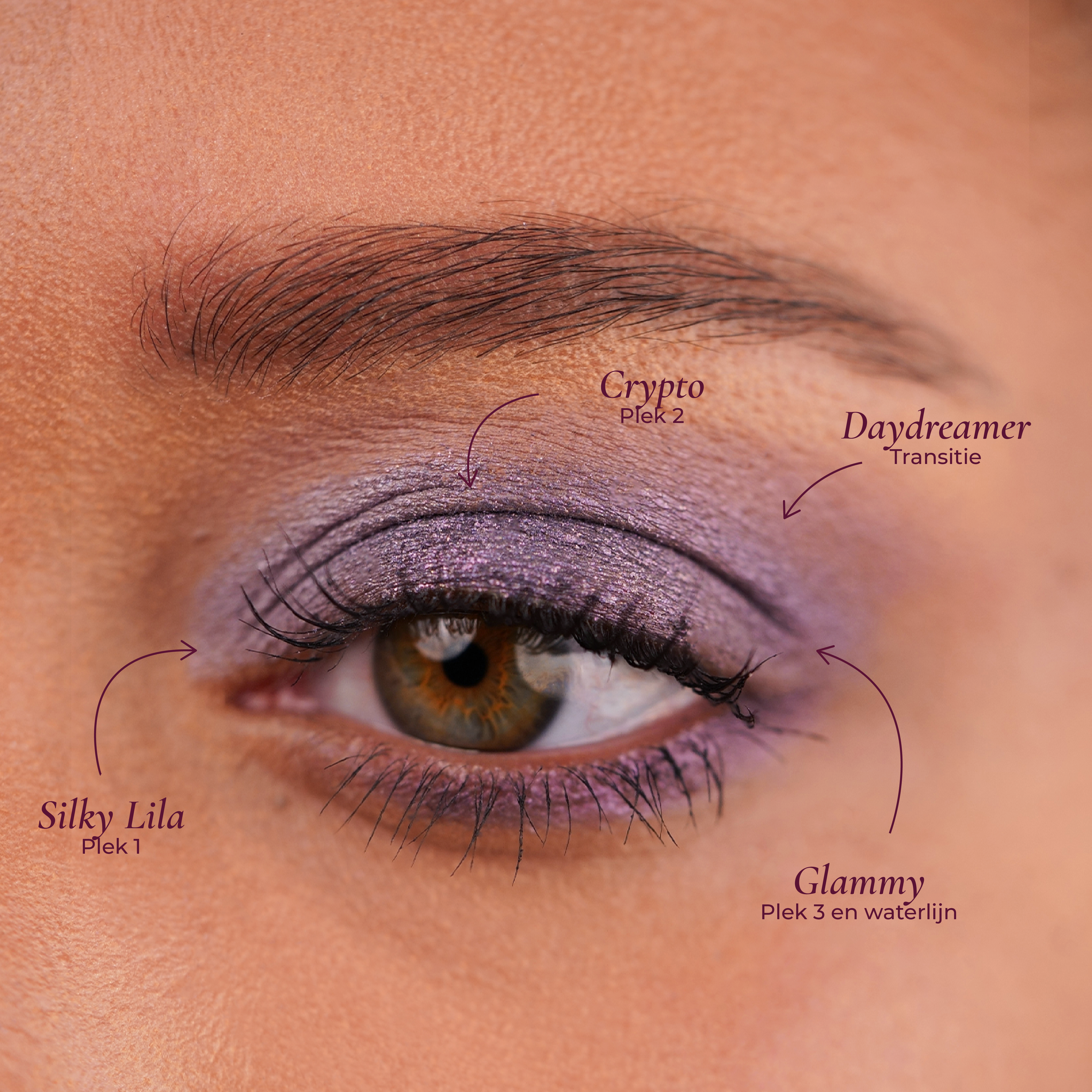 Pressed Eyeshadow Set - Daydreaming about Crypto