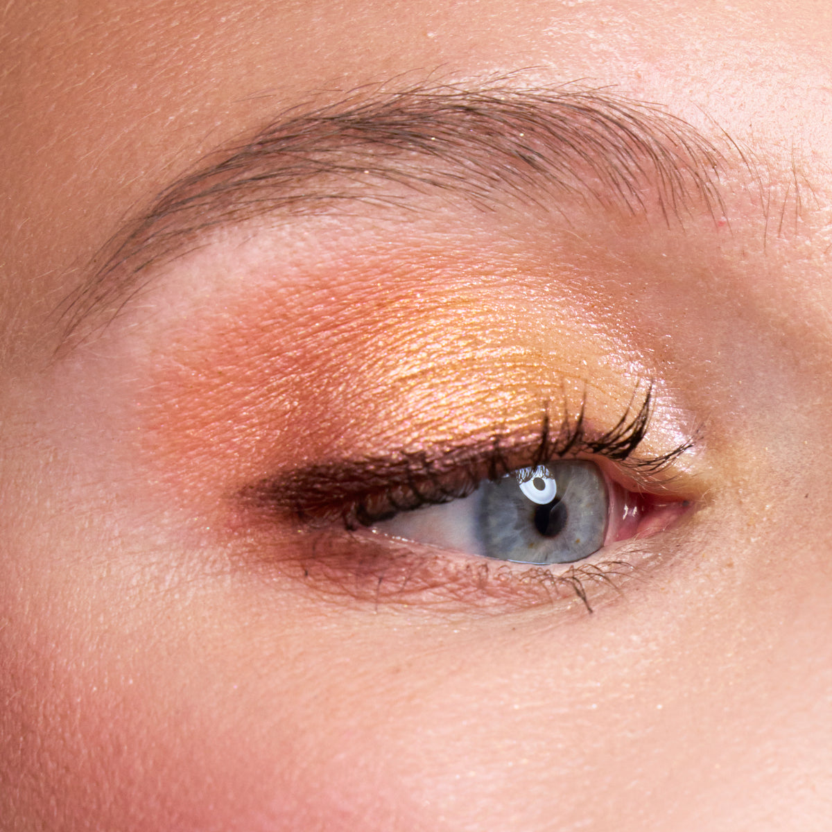 Sweet Honey Eyeshadow Set | Burgundy Reflections