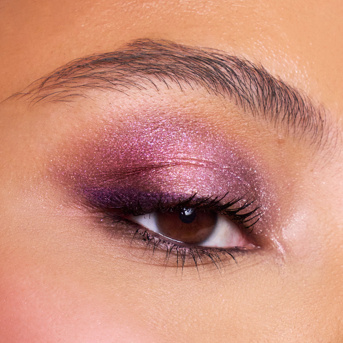 Iconic Plum Eyeshadow Set | Burgundy Reflections