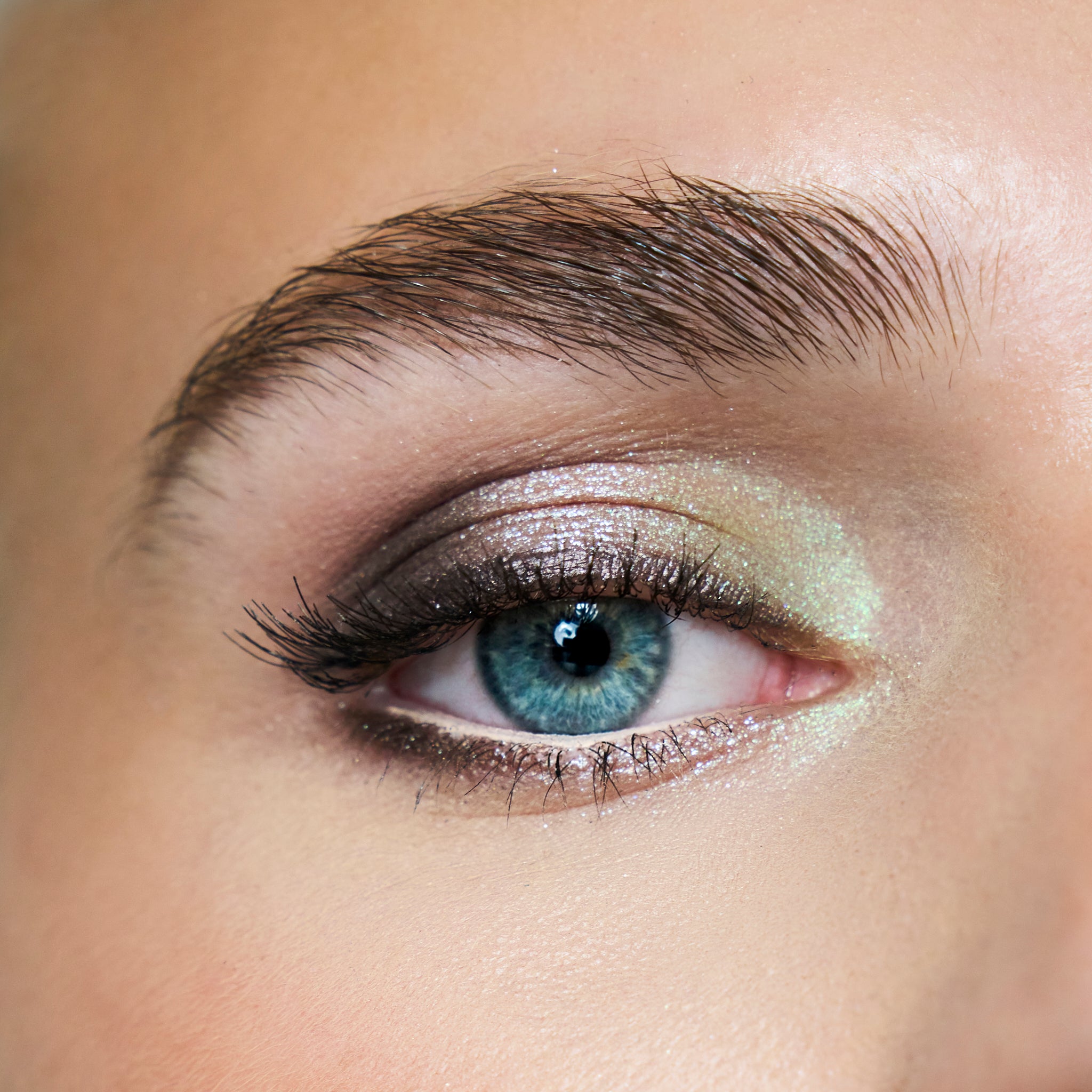 Eyeshadow Warm Cut